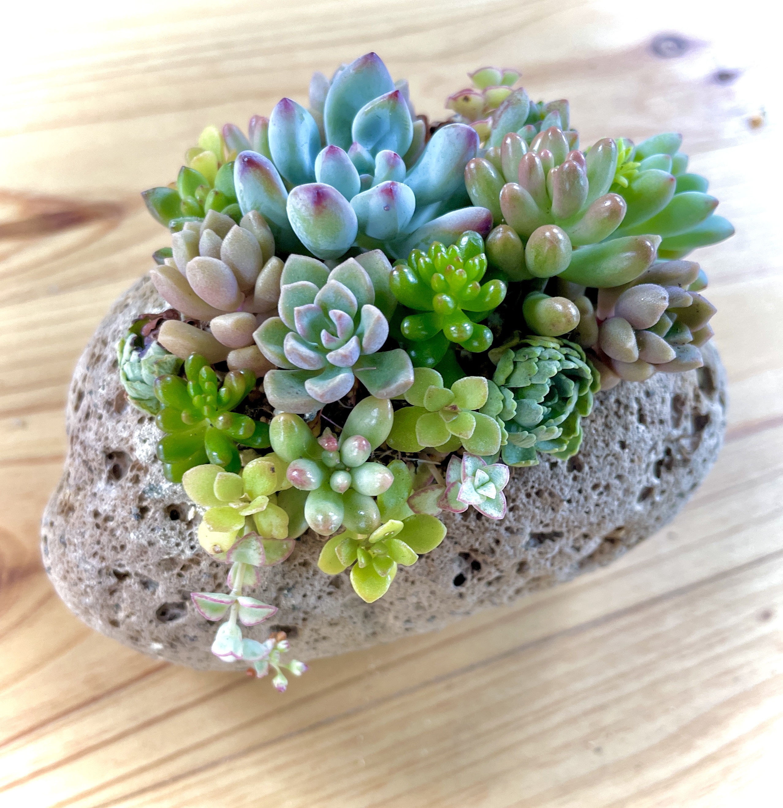 わからないことはまず聞いてみてください