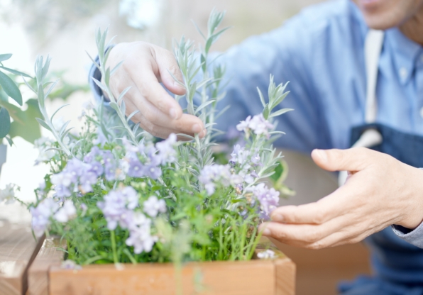 寄せ植え体験の流れ